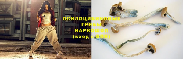 ALPHA PVP Осинники