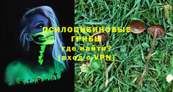 Альфа ПВП Осташков