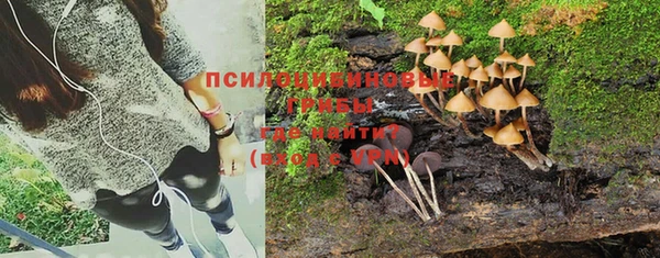 Альфа ПВП Осташков