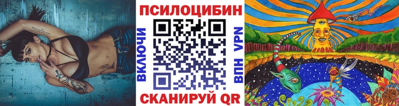 OMG tor  где купить   Великий Новгород  Галлюциногенные грибы Psilocybine cubensis 
