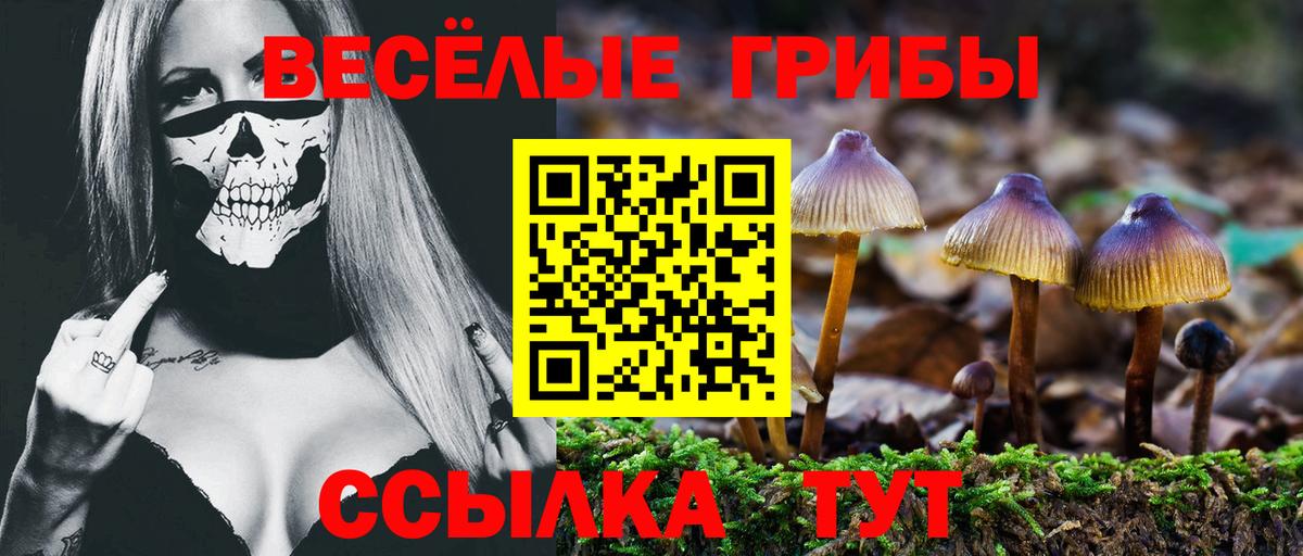 купить наркотики сайты  Псилоцибиновые грибы Psilocybine cubensis  Великий Новгород  Вход с VPN  Псилоцибиновые грибы GOLDEN TEACHER 