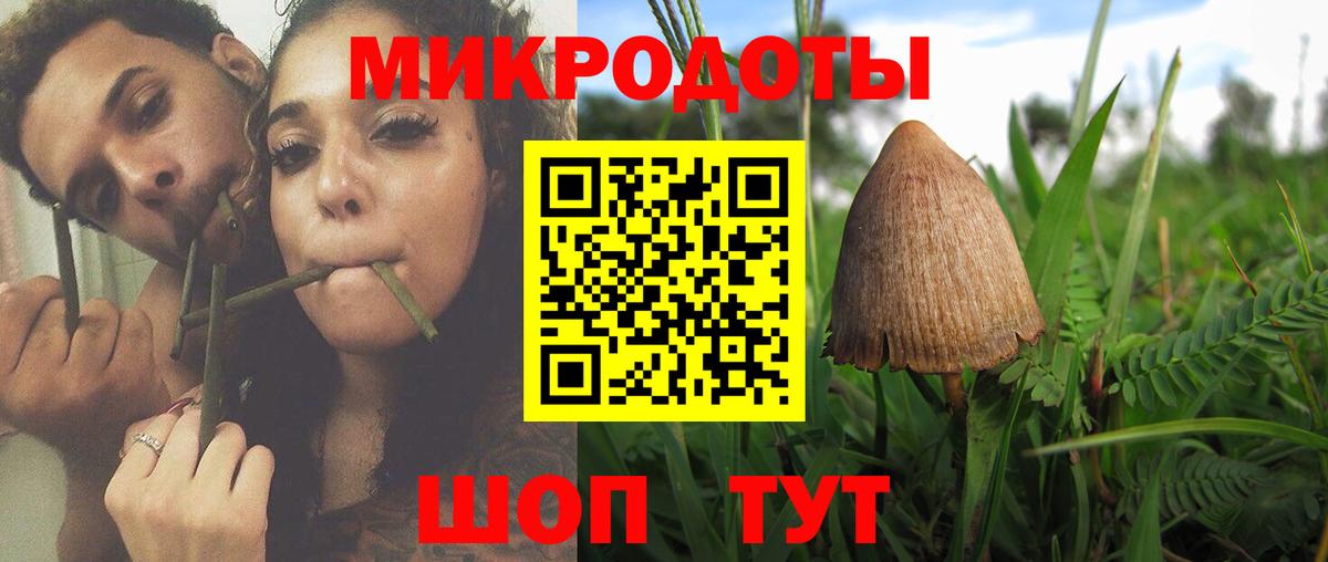 Галлюциногенные грибы GOLDEN TEACHER  Великий Новгород  Галлюциногенные грибы мицелий 